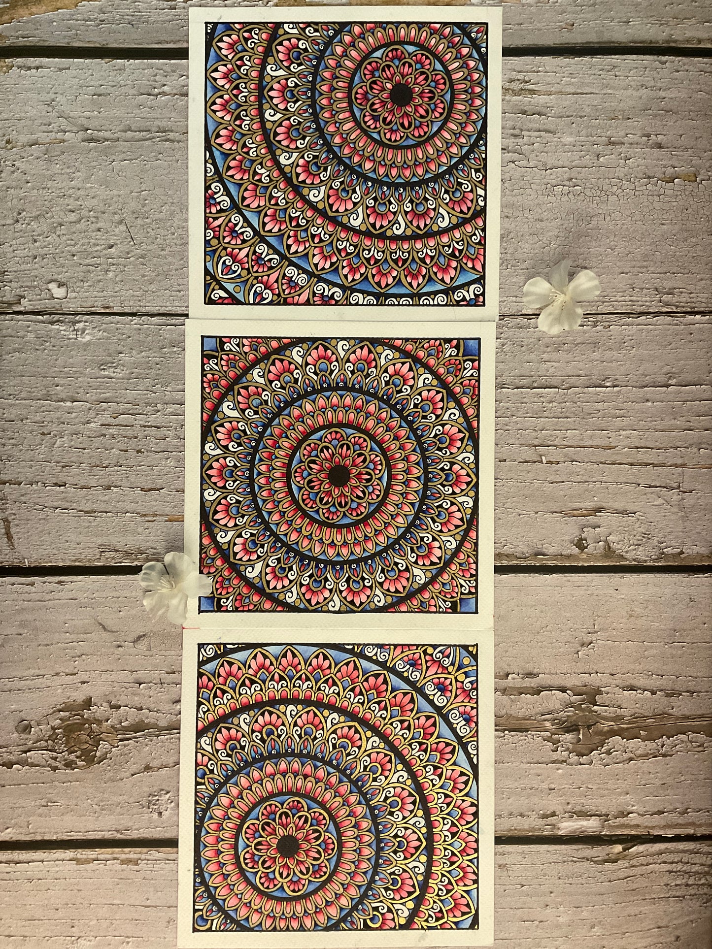 Train of Thought Mandala Set